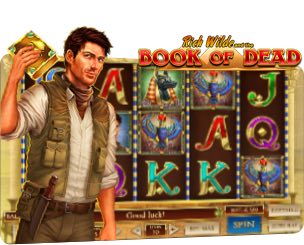 Book of Dead slot