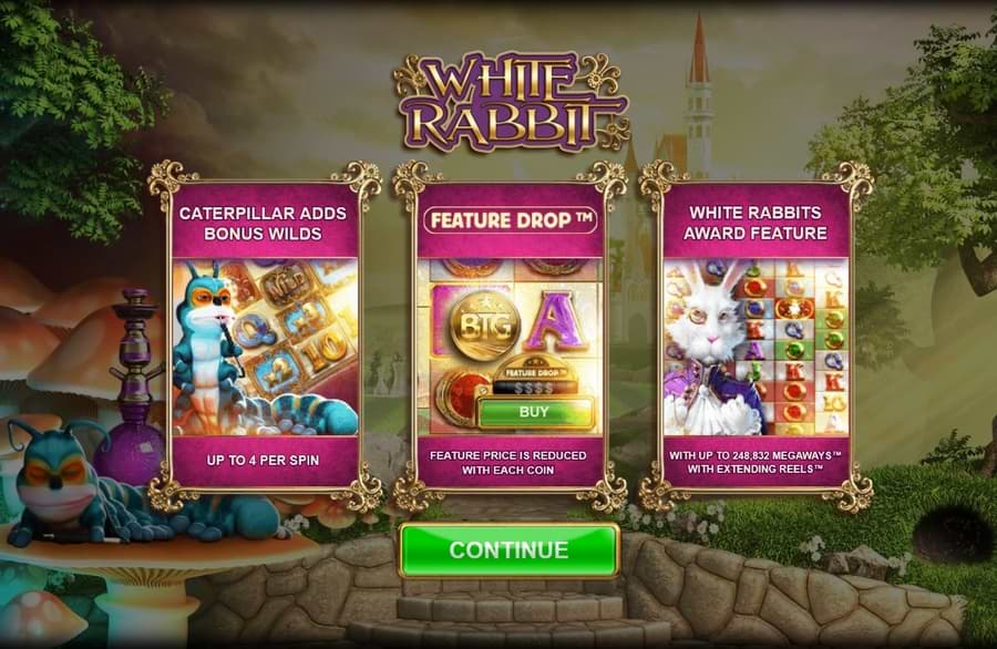 White Rabbit features