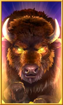 Buffalo symbol