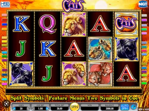 Cats slots online - IGT