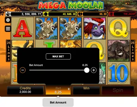 how to play online slots: bet amounts, reels, paylines and paytables